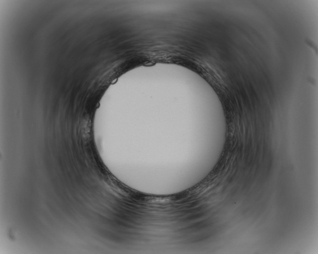 X0000096660081200802191317