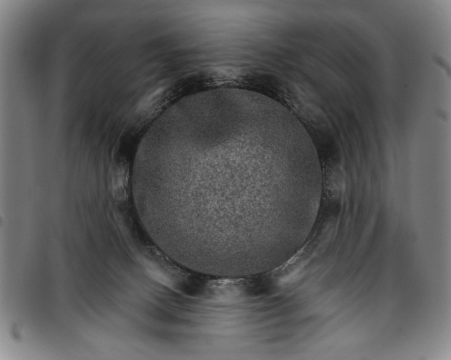 X0000096660082200802191317