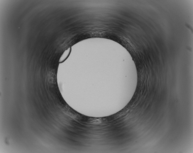 X0000096660083200802191317