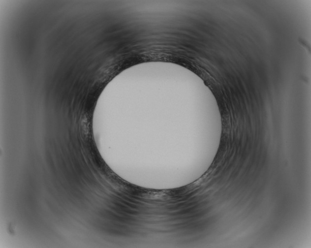 X0000096660086200802191317