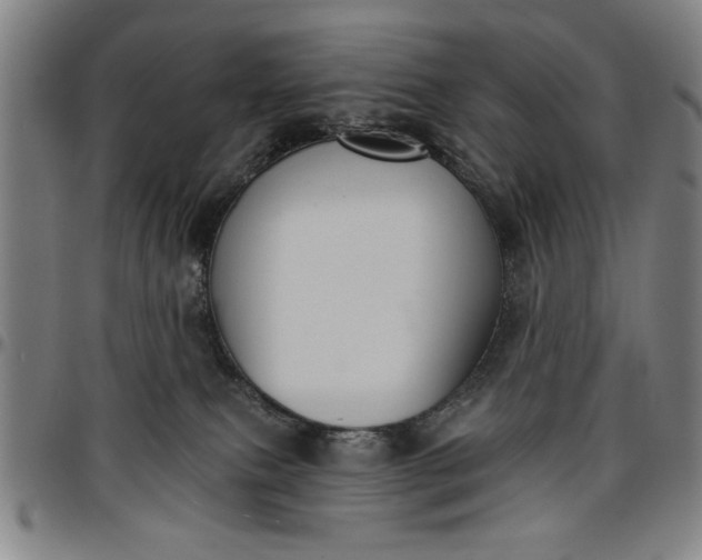 X0000096660087200802191317