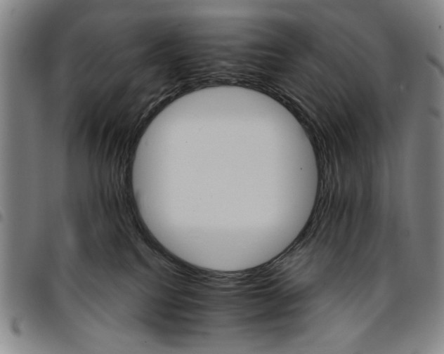 X0000096660088200802191317