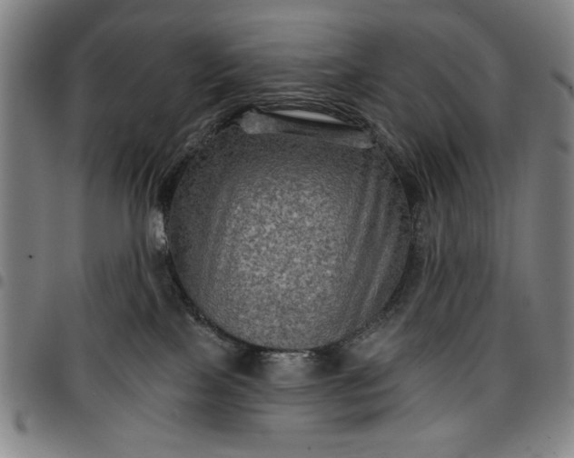 X0000096660089200802191317