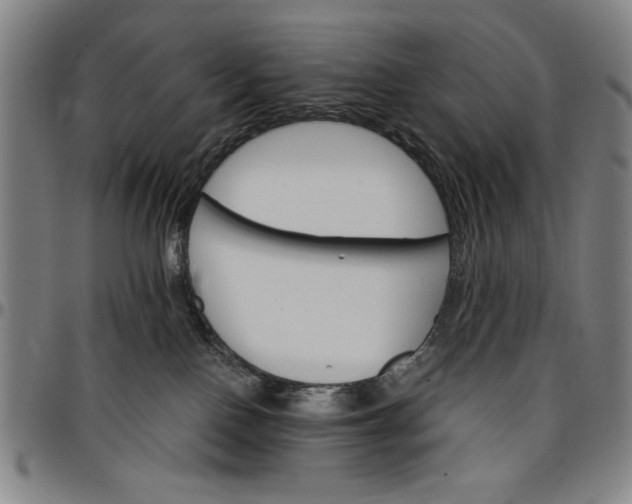 X0000096660090200802191317