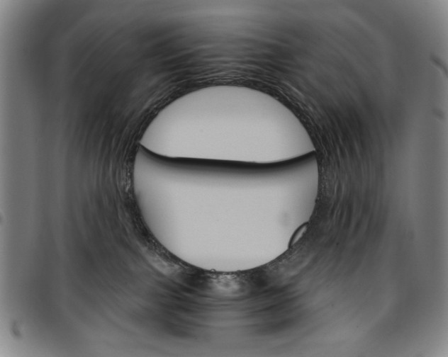 X0000096660091200802191317