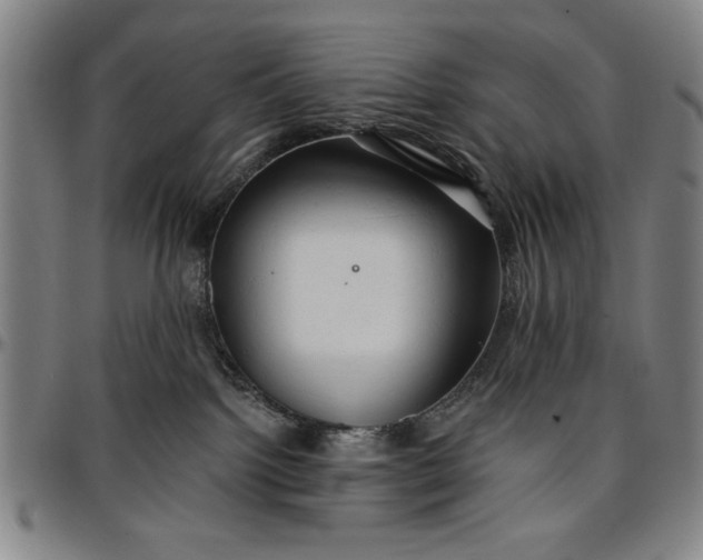 X0000096660092200802191317