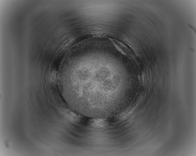 X0000096660093200802191317