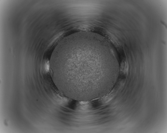 X0000096660095200802191317