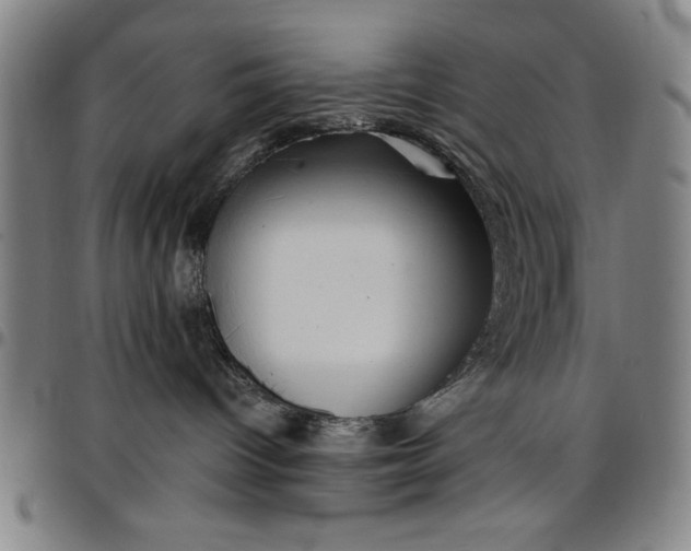 X0000096660096200802191317