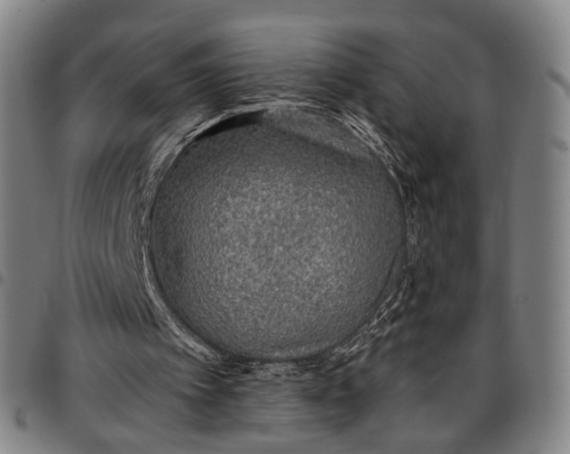 X0000096660097200802191316