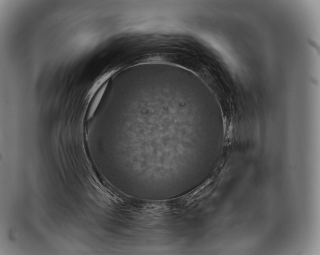 X0000096660099200802191316