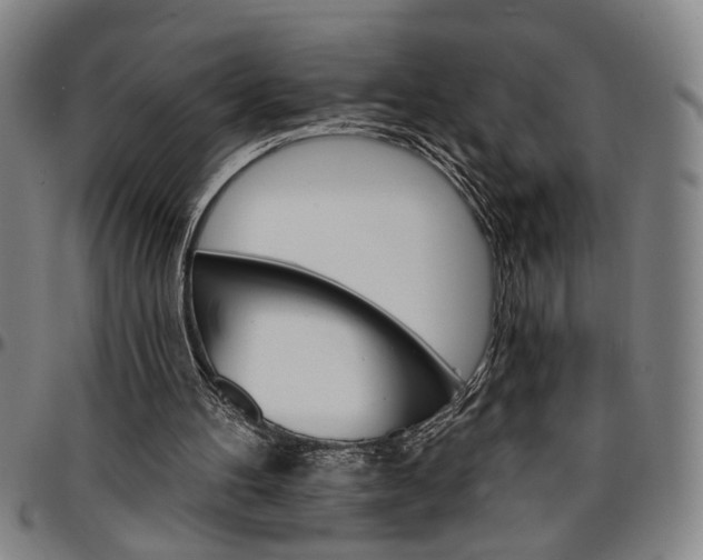 X0000096660100200802191316