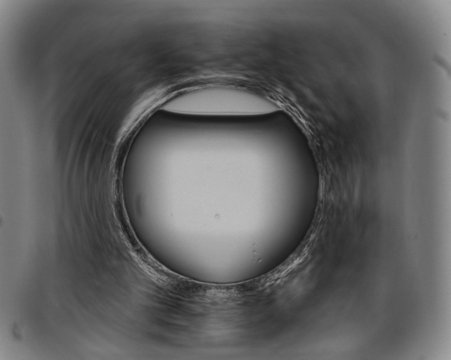 X0000096660101200802191316