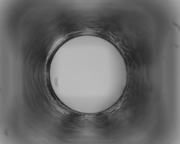 X0000096660102200802191316