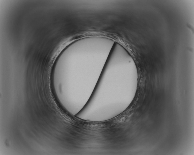 X0000096660103200802191316