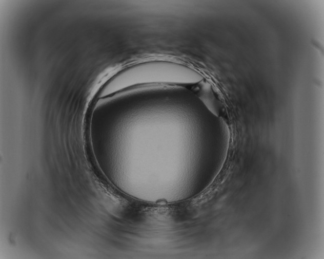 X0000096660104200802191316