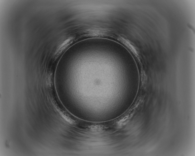 X0000096660105200802191316