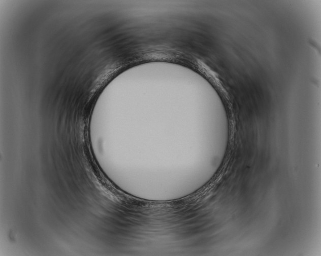 X0000096660106200802191316