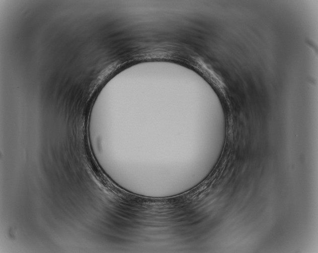 X0000096660107200802191316