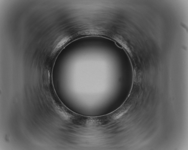 X0000096660109200802191316