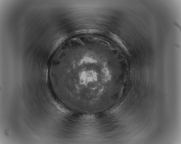 X0000096660110200802191316