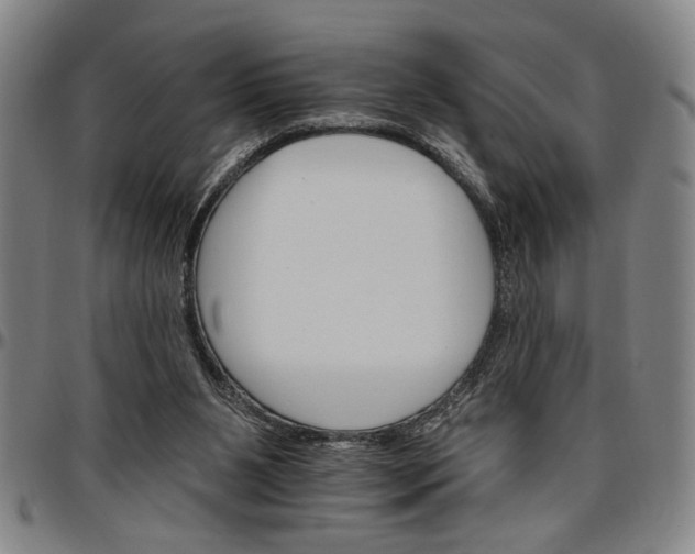 X0000096660111200802191316