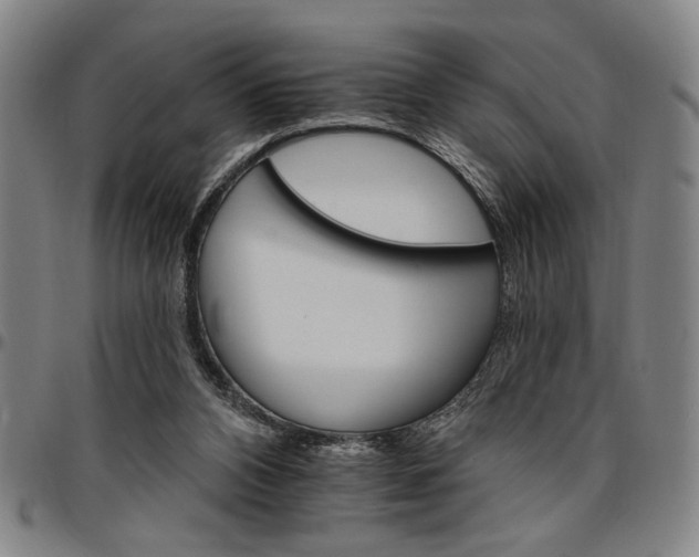 X0000096660112200802191316