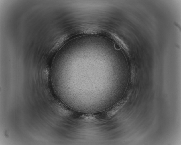 X0000096660113200802191316