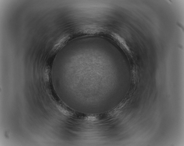 X0000096660114200802191316