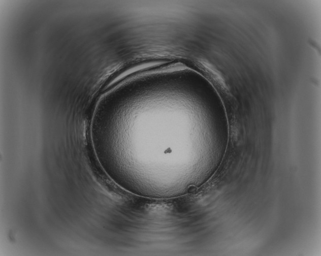 X0000096660115200802191316