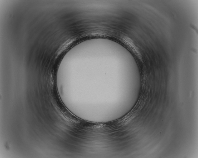 X0000096660116200802191316