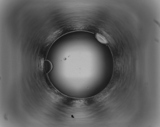 X0000096660118200802191316