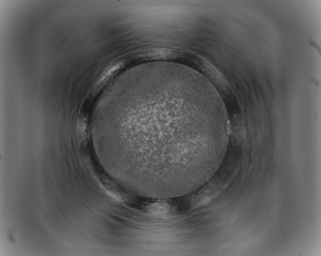 X0000096660119200802191316