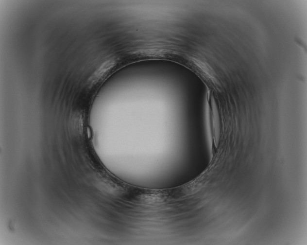 X0000096660120200802191316