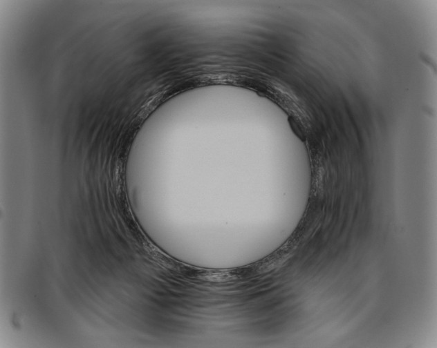 X0000096660121200802191316