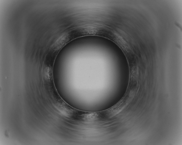 X0000096660122200802191316