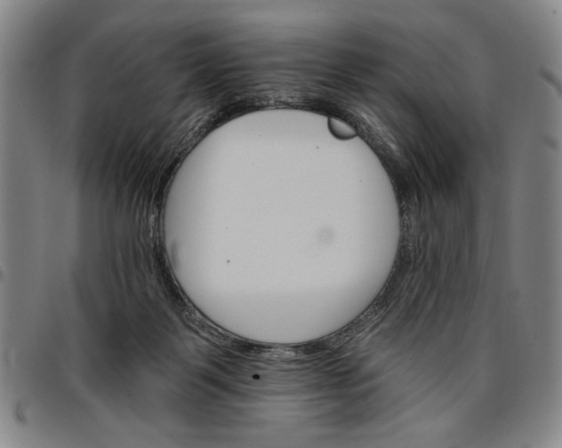 X0000096660123200802191316