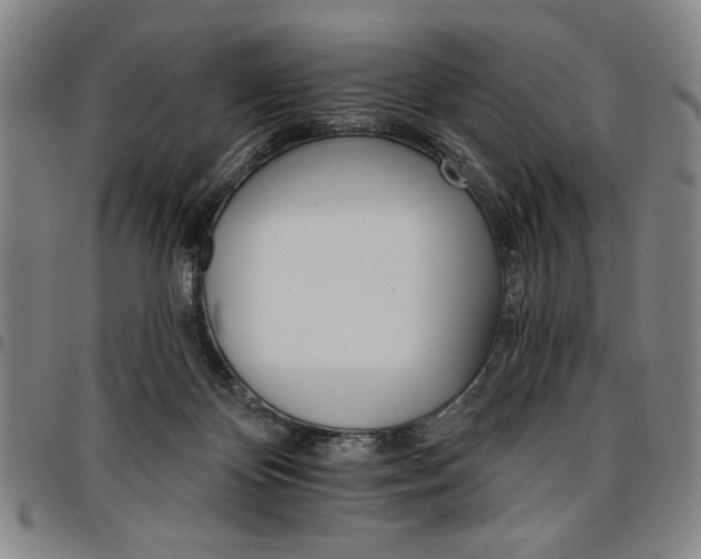 X0000096660124200802191316