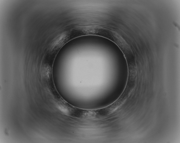 X0000096660125200802191316