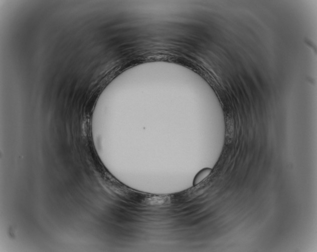 X0000096660126200802191315