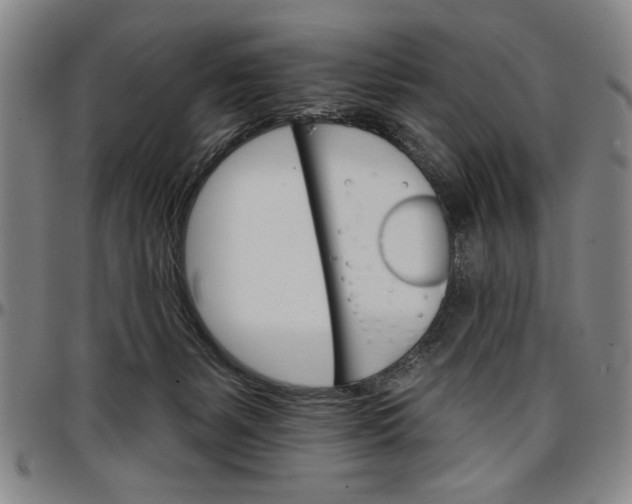 X0000096660127200802191315