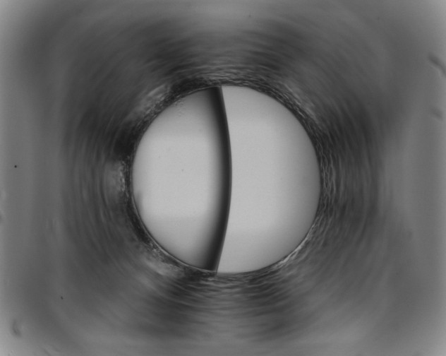 X0000096660128200802191315