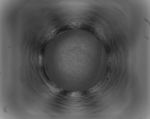 X0000096660130200802191315