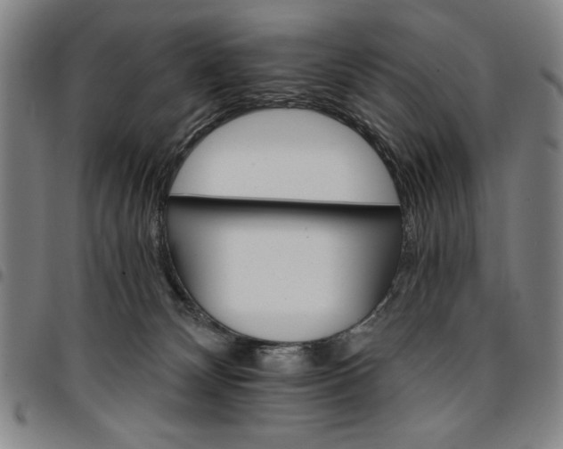 X0000096660132200802191315