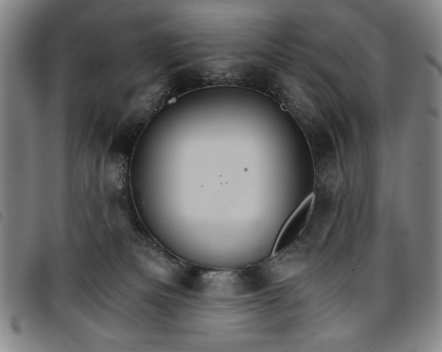 X0000096660133200802191315