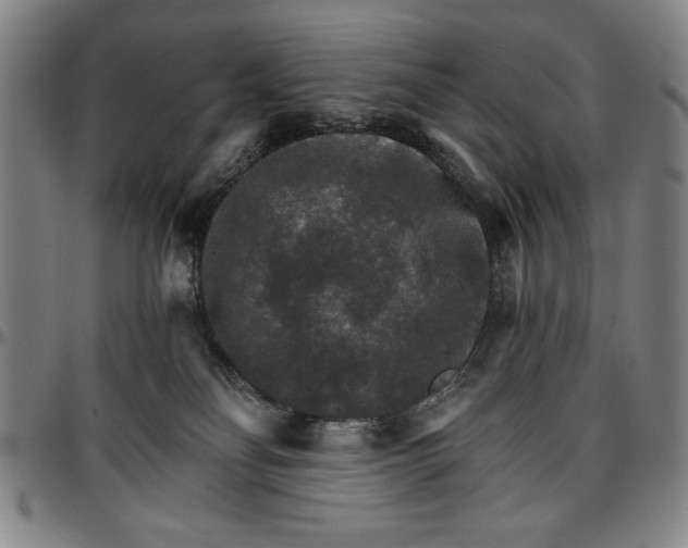 X0000096660134200802191315