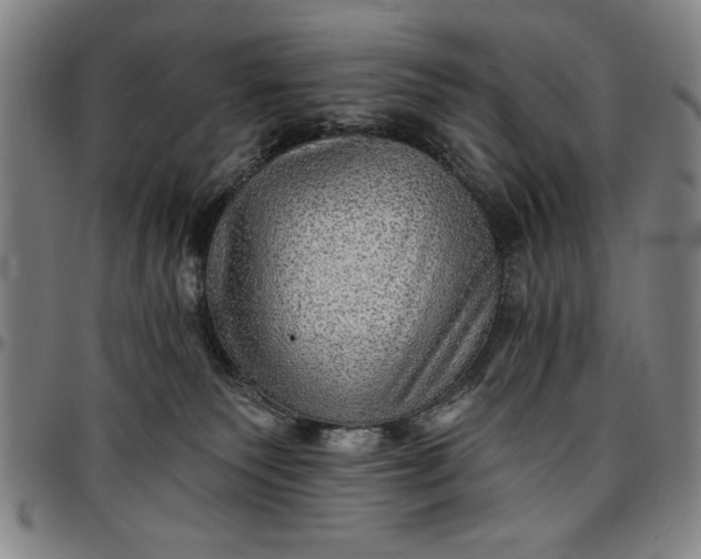 X0000096660135200802191315