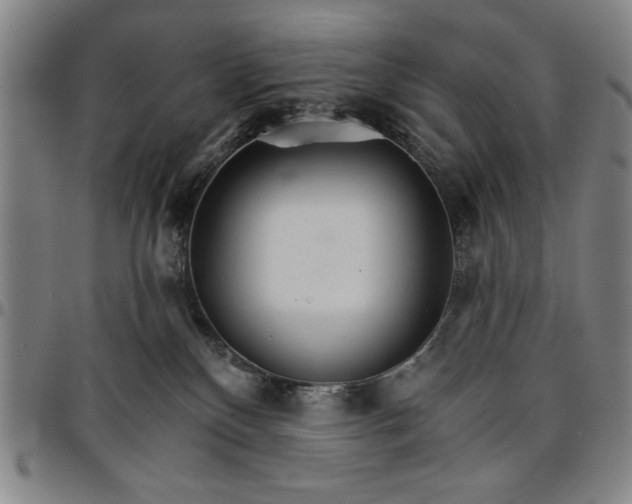 X0000096660136200802191315