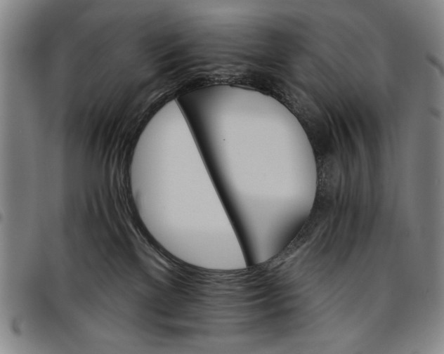 X0000096660137200802191315