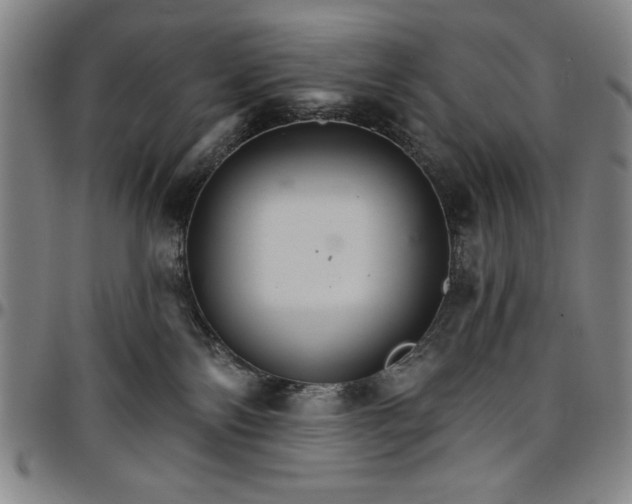 X0000096660138200802191315